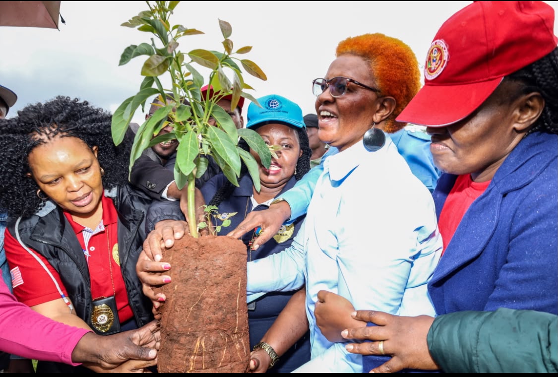 Working Together for a Greener Kenya